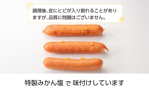 AB280.【レンチン便利品】国産パリッとジューシー高級ウインナー 約1.2キロ