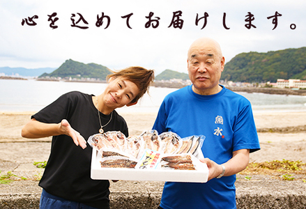 【極味の定期便】特製！みりん干し詰合せ ４種12枚 × 選べる３カ月《毎月発送》　[0044-0003]
