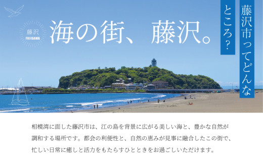 食事券 LONCAFE 3000円 分 チケット 江の島 本店 日本初 フレンチトースト 専門店 カフェ レストラン グルメ券 利用券 商品券 補助券 ギフト券 チケット 券 食事 ランチ ディナー 