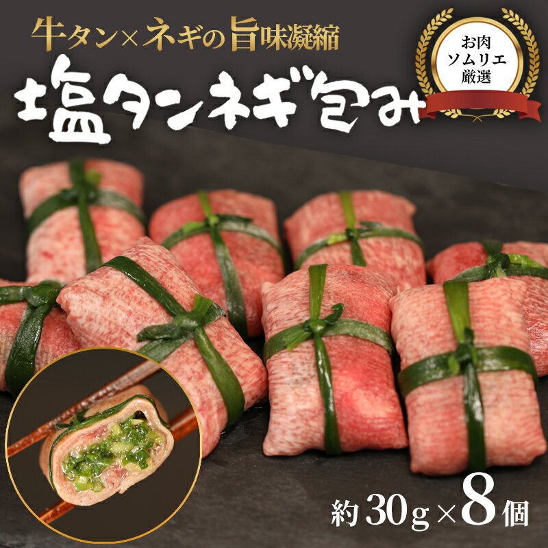 【ふるさと納税】 塩タンネギ包み 8個 ： 牛たん タン塩 塩タン ネギ 牛 牛肉 ビーフ 塩味 厳選 人気 焼肉 冷凍 小分け ギフト 贈答用 美味しい お勧め おすすめ 熨斗 舞鶴市 京都府