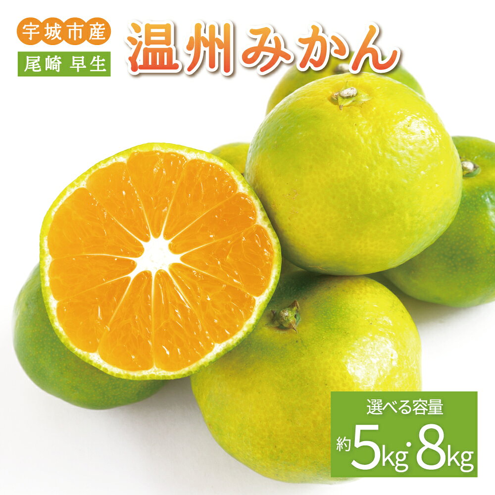 【ふるさと納税】先行予約 みかん 尾崎 早生 温州みかん 選べる容量 約5kg (30玉前後) または 約8kg (60玉前後)【2026年12月上旬〜12月下旬頃発送予定】早生みかん みかん ミカン 蜜柑 フルーツ 果物 くだもの 熊本県産 九州産 国産 宇城市産 ひでみかん