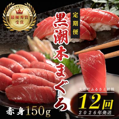ふるさと納税 大月町 【定期便 12回】日本一!黒潮本まぐろ 赤身