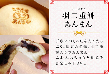 福井県産さばえ米粉入り米こうじ肉まんぜ～んぶ「ふくいまん」10個セット