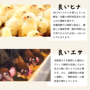 【 １２回定期便 】 卵 960個 80個×12回 無選別 MS～LL 京の贈り物 20個×4パック×12ヶ月 毎月お届け 割れ保証1パック（20個） 大容量 玉子焼き ゆで卵 生食 卵かけご飯 目玉