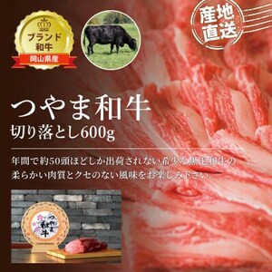 【岡山県産黒毛和牛】つやま和牛切り落とし600g【配送不可地域：離島】【1402232】
