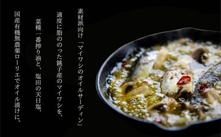 オイルサーディン 10缶セット 缶詰 千葉産直
