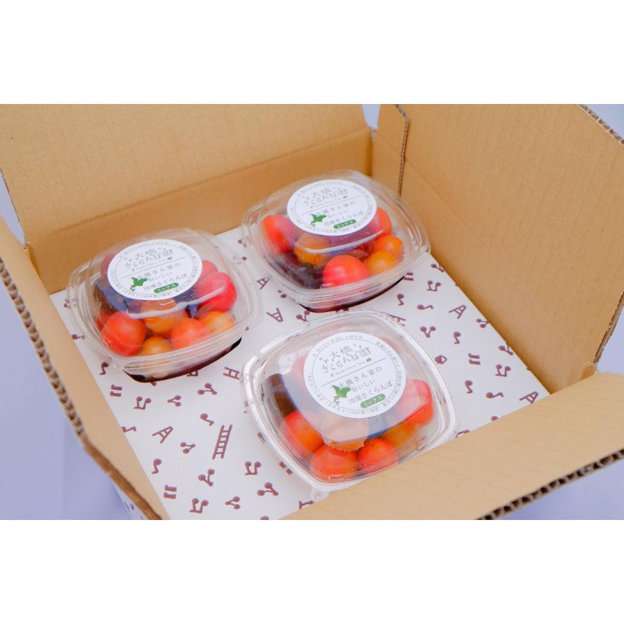 ＜大橋さくらんぼ園＞冷凍さくらんぼミックス160g×3パック