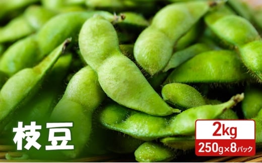 先行予約 秋田県 羽後町産 枝豆 2kg （250g×8） [えだまめ 簡単調理レンジ 国産 国産野菜 おつまみ] 