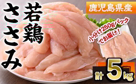鹿児島県産若鶏ささみ(計5kg・250g×20P) 若鶏 ささみ 冷凍【株式会社羽根】A577-v01