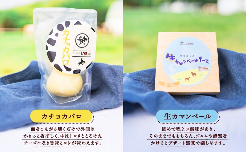 チーズ工房1103 チーズセットB 計5種 ストリング拓 ストリング日高 味噌チーカチョカバロ 生カマンベール チーズ チーズセット 乳製品 まろやか クリーミー あっさり アレンジ 送料無料 ギフト