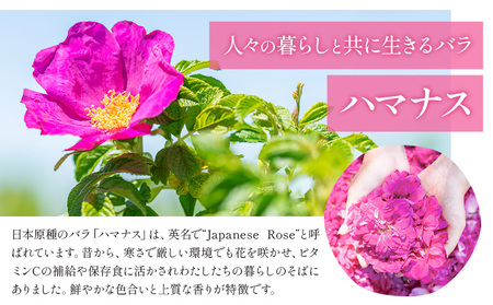 北海道産 ハマナス ジャム 120g ロサ・ルゴサ ローズ コンフィチュール バラ