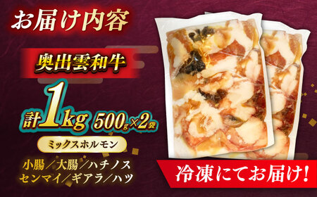 【奥出雲和牛100％】和牛日本一のミックスホルモン 500g×2袋 冷凍 黒毛和牛 ブランド牛 もつ鍋 焼肉 アウトドア 人気 おすすめ 島根県雲南市/島根県農業協同組合　雲南地区本部 畜産加工所[A