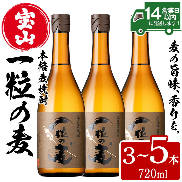 一粒の麦(720ml×5本)焼酎 麦焼酎 酒 アルコール 麦 家飲み 宅飲み 大麦 大麦麹 セット 常温 常温保存【西酒造】