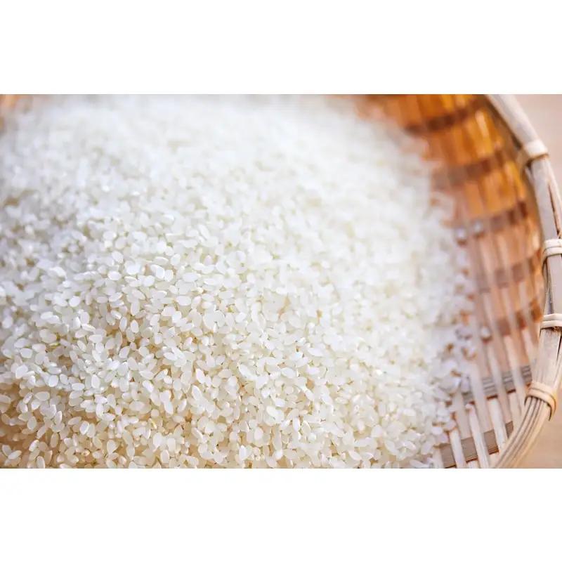 2026年産 丹後弥栄産コシヒカリ（玄米5kg） ふるさと納税 お米 米 玄米 コシヒカリ 農家直送 丹後こしひかり ふるさと納税 玄米