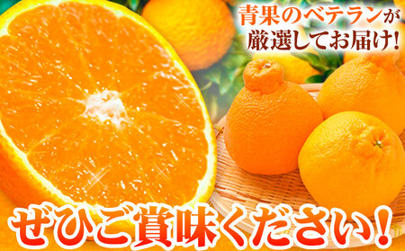 【先行予約】和歌山県紀の川市産 不知火 約2kg 岸武青果株式会社《2026年2月上旬-4月下旬頃出荷》 和歌山県 紀の川市 しらぬい 不知火 果物 フルーツ みかん 柑橘 2kg 送料無料