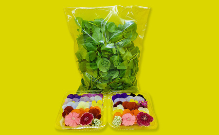 エディブルフラワーセット 食用花Aセット エディブルフラワーセット【生花20輪×2パック クレソン80g】
