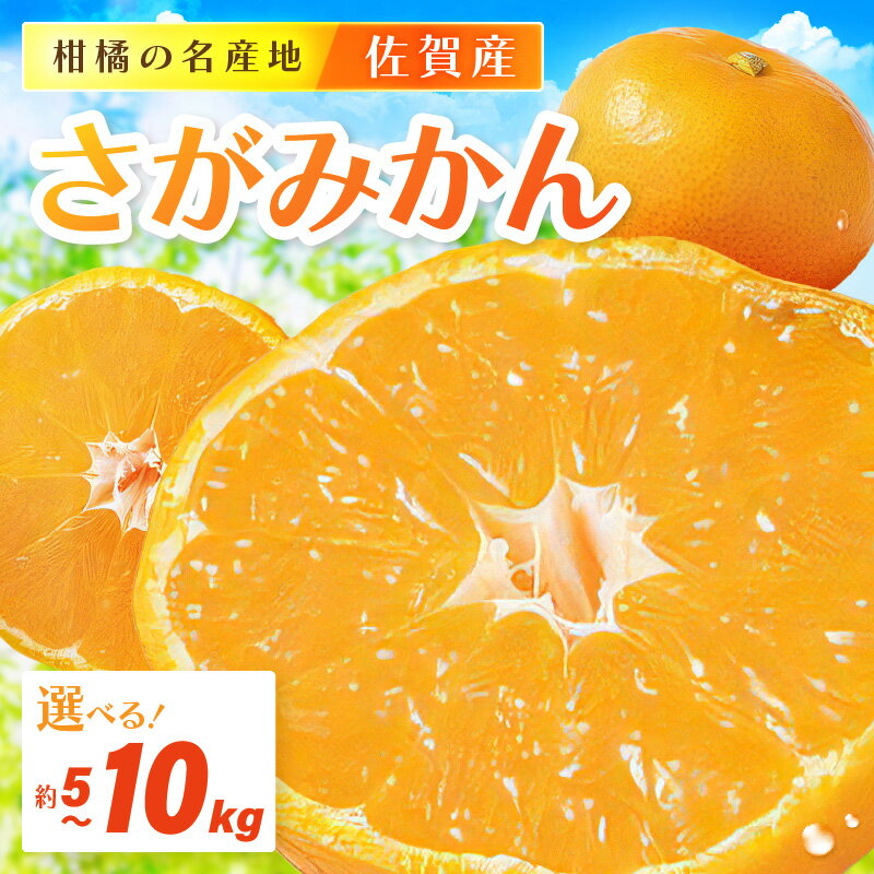 【ふるさと納税】佐賀産さがみかん ＜内容量が選べる／約5kg箱・約10kg箱 ＞ (伊万里市) 柑橘類 【 みかん 果物 フルーツ くだもの 蜜柑 オレンジ かんきつ 甘い 濃厚 ジューシー 楽天ふるさと 送料無料 】