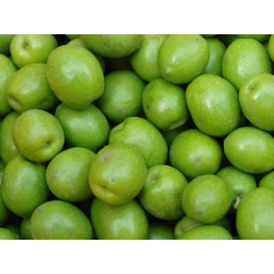 ふるさと納税 小豆島町 小豆島産エキストラバージンオリーブオイル180g　3本セット |  | 03