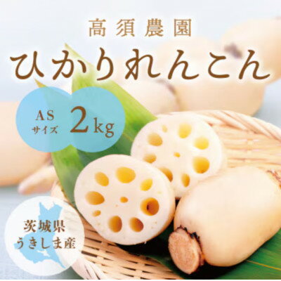 【ふるさと納税】ひかりれんこん 2kg ASサイズ 産地直送 浮島産れんこん【配送不可地域：離島・沖縄県】【1662339】