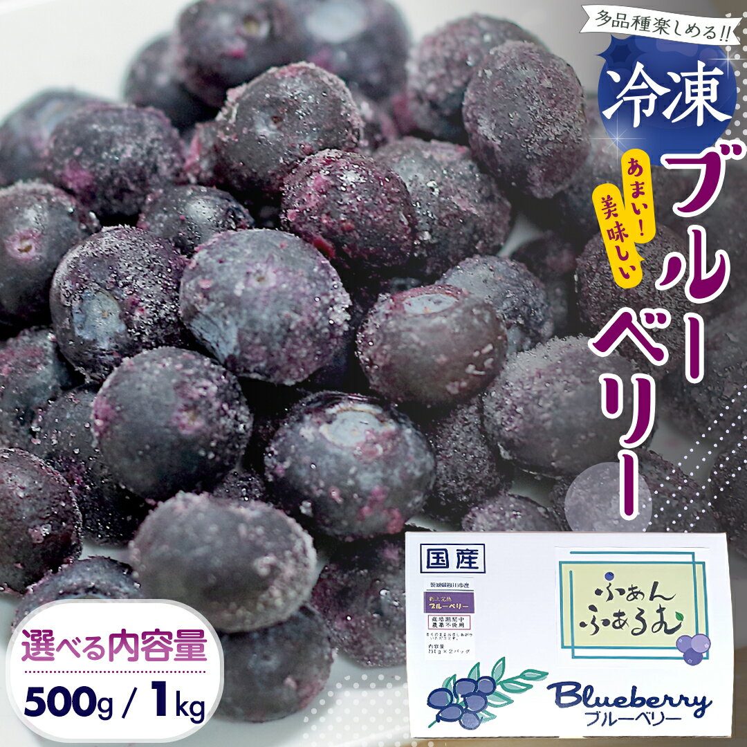 【ふるさと納税】 茨城県産 冷凍 ブルーベリー 合計 500g ～ 1kg (250g×2袋／4袋)【2025年7月中旬から発送開始】 多品種 果実 果物 くだもの フルーツ おやつ ブルーベリー ベリー ジャム 小分け
