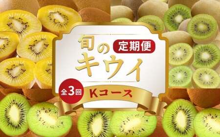 キウイフルーツ 定期便 3回 Kコース キウイ 