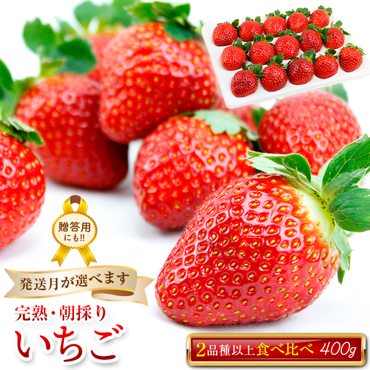 BT-174 いちごやす農園　完熟・朝採りいちご400g×1箱（2品種以上／冷蔵）【４月発送分】