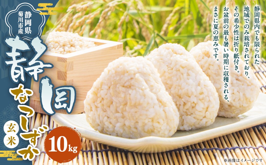 
                  【令和8年産】菊川市産 なつしずか 玄米 10kg 【2026年8月下旬～2027年3月下旬発送予定】お米 米 ブランド米 先行予約
                