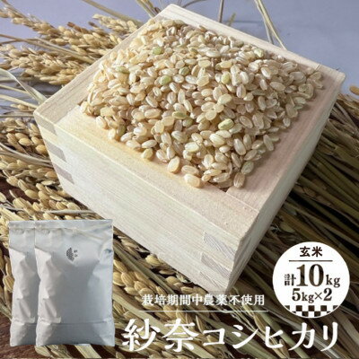 【ふるさと納税】【玄米10kg】紗奈～はまだ農園 　玄米(コシヒカリ)【1600213】