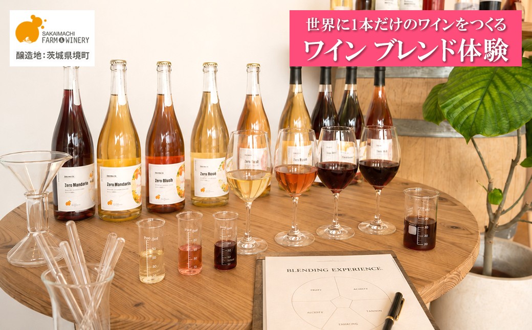 
                  オリジナルワインブレンド体験 1名様利用券 ワイン1本付き 試飲 オリジナルラベル ツアー 酒 お酒 赤 白 飲み比べ ギフト 甘口 辛口 さかいまちワイナリー K2712
                