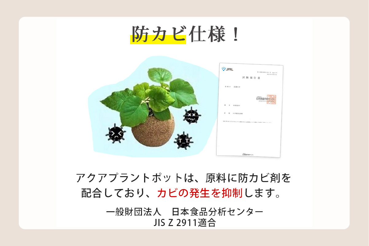 アクアプラントポット®　玉Ｓ（ブラック） 植木鉢　テーブルヤシ（2088）