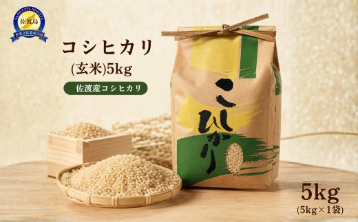 佐渡産コシヒカリ 玄米5kg 佐渡市石田産 生産者：池田庄一 冷めてもおいしい | 新潟県産コシヒカリ 新潟産コシヒカリ 新潟コシヒカリ 佐渡産コシヒカリ 新潟県産こしひかり 佐渡産こしひかり お米 米 こしひかり 玄米 げんまい おこめ コメ 5キロ 農家直送 石田 にいがた さど 新潟県 佐渡市
