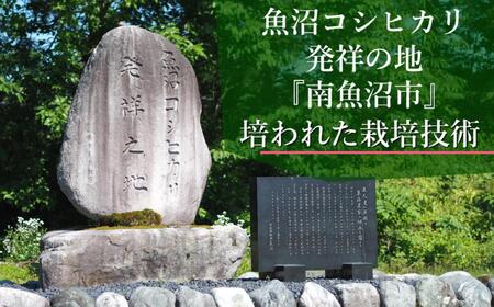 【JAみなみ魚沼定期便】南魚沼産こしひかり（窒素充填2合パック10袋入×全6回）美味しさ長持ち 300g 小袋 便利 精米HACCP認定工場 特A獲得日本一産地 高品質精米 もっちり甘い 南魚沼産コシ