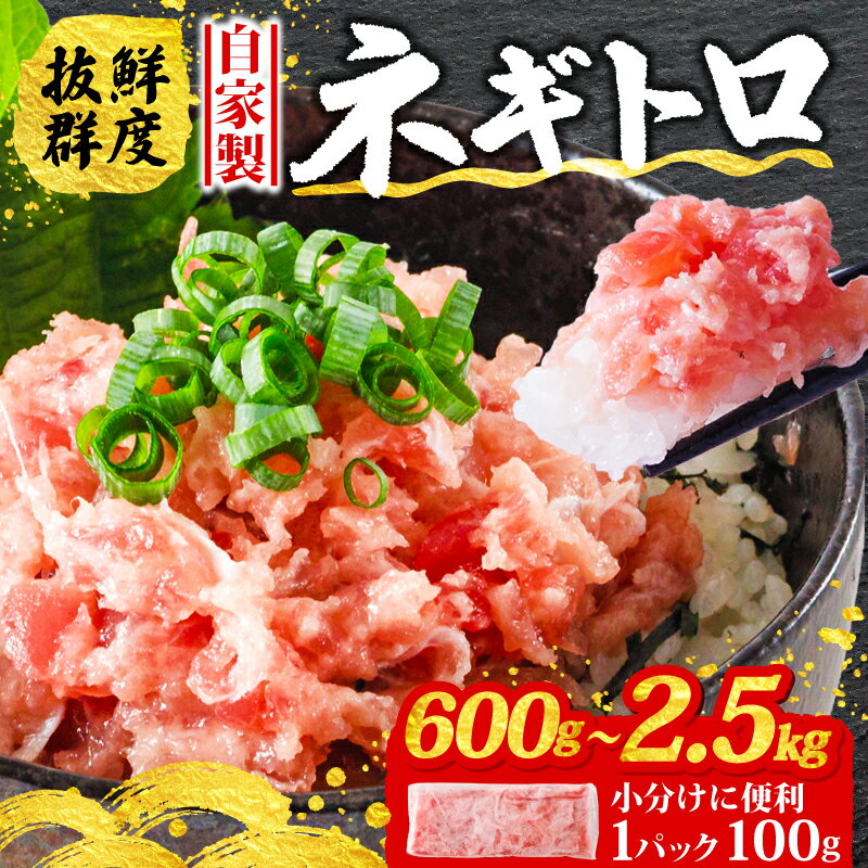 【ふるさと納税】 発送時期 / 容量が選べる ネギトロ 600g/800g/1.2kg/1.8kg/2.5kg (1パック 100g ) 小分け | ねぎとろ マグロ 鮪 粗びき おいしい 年末配送 魚介 小分け 個包装 冷凍 簡単調理 グルメ 人気 おすすめ 高評価 送料無料 お取り寄せ 贈答 ギフト 愛媛県 松山市