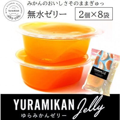 みかんの美味しさそのまま!無水みかんゼリー詰め合わせ 16個入 (2個セット×8袋)スプーン付【1492508】