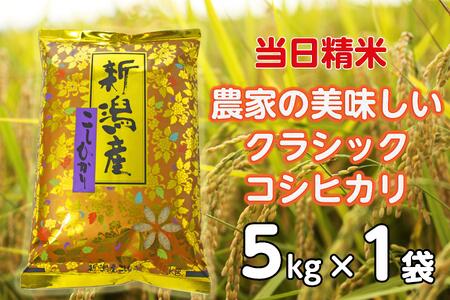 【令和6年産新米】 当日精米! 農家直送 美味しい クラシックコシヒカリ 5kg 精米 白米 1F22012