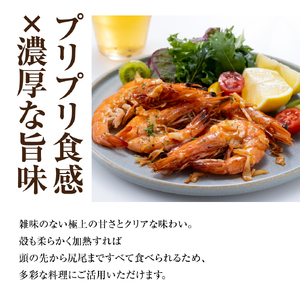 青空えび（和名：シロアシエビ）２パック入り【conn0001】