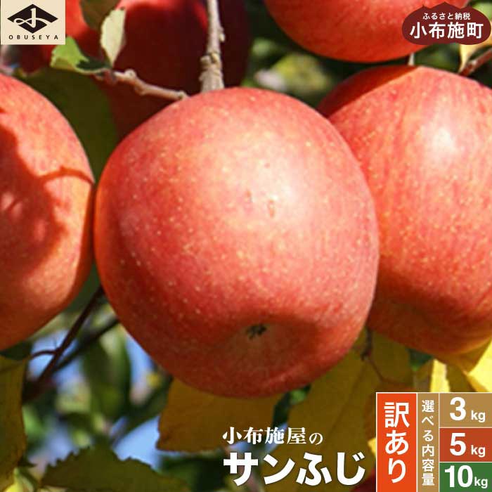 【ふるさと納税】【訳あり】 サンふじ 選べる内容量 約3kg 6～12玉 約5kg 10～23玉 約10kg 24～46玉 ［小布施屋］ りんご 林檎 リンゴ 不揃い 規格外 果物 くだもの フルーツ 長野県 数量限定 生産者応援 支援 家庭用 令和8年産 【2026年4月下旬～2027年4月発送】