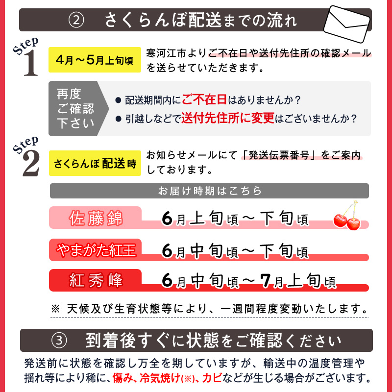 令和7年産 さくらんぼ「 佐藤錦 」500g (250g×2パック) 秀品 Lサイズ以上 2025年産 山形県産 山形産 【2025年6月上旬頃～下旬頃発送予定】　012-A-AF020 500g (