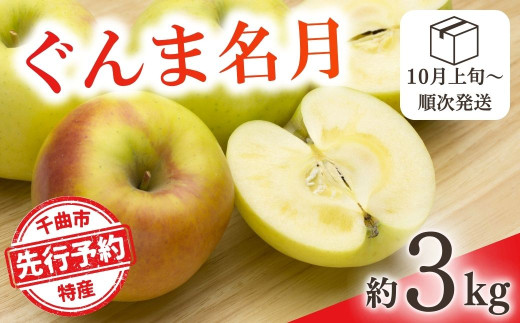【2025年先行予約】りんご ぐんま名月 約3kg 林檎 群馬名月 ぐんまめいげつ 千曲市 長野県産 信州