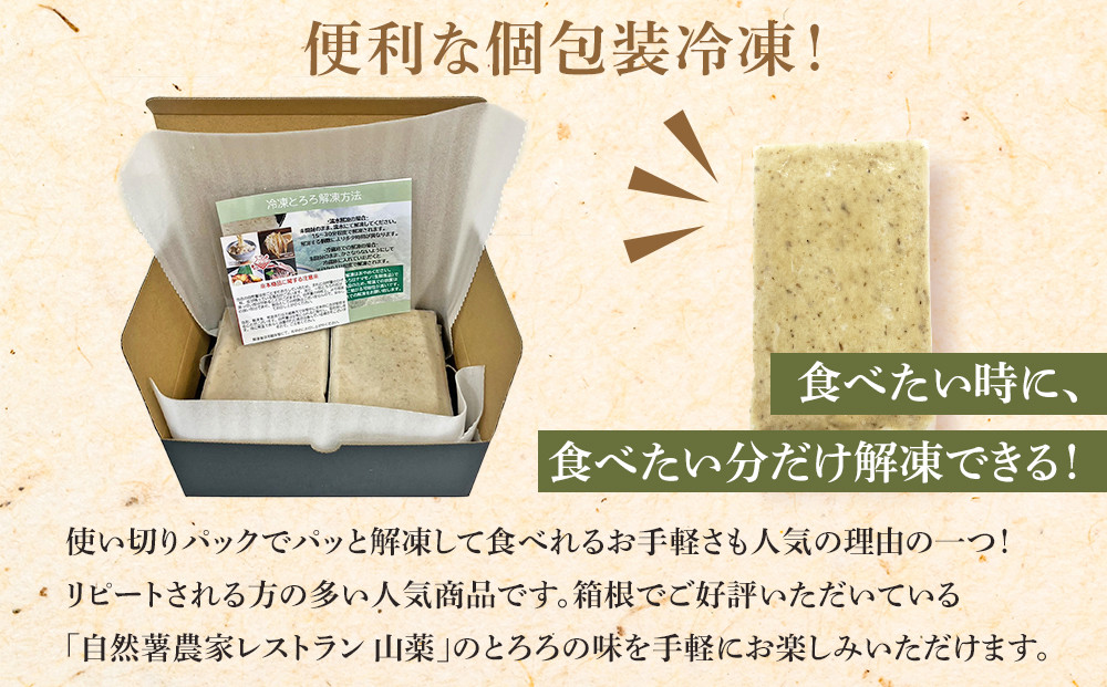 お店の味をご家庭で。【箱根自然薯の森 山薬】自然薯セット(2～3人前×2回分)【とろろ 極上とろろ 山芋 箱根 お家用 家庭用 国産 セット商品 自然薯 神奈川県 小田原市 】