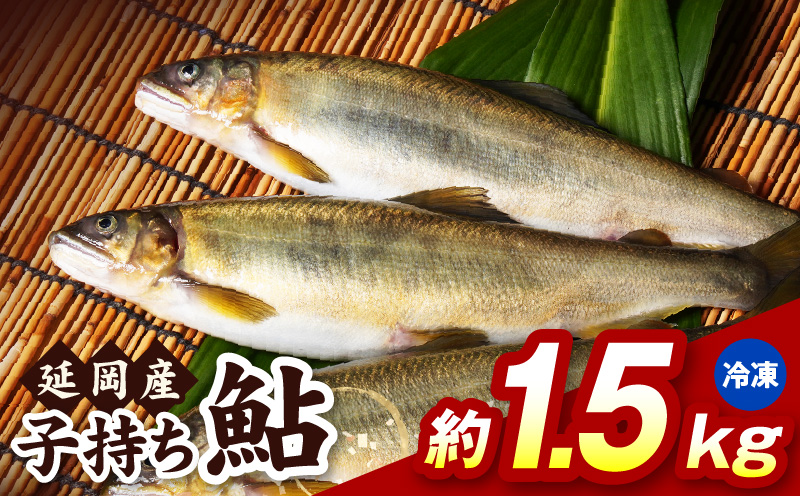 【冷凍】子持ち鮎約1.5kg N070-YB1106-2