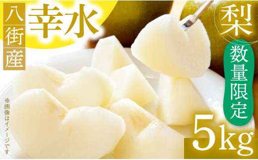 ＼数量限定 ／ 幸水 5kg 小川梨園 申込受付中 ！ 千葉県産 なし ナシ 8月発送 梨幸水 幸水梨 千葉県 千葉なし 先行予約