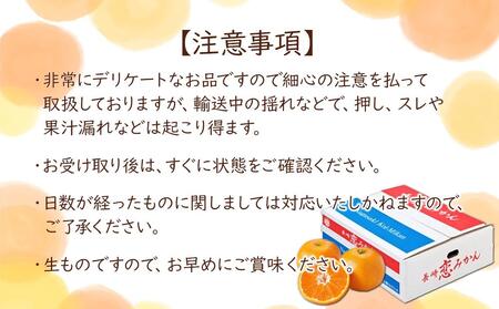 長崎恋みかん 5kg＜期間限定／先行予約＞【2025年11月中旬以降順次発送】
