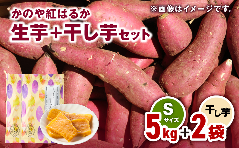 
            1671 かのや紅はるか 生芋Sサイズ5kg＋干し芋2袋セット　KN011-004
          
