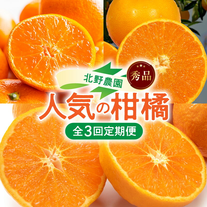 【ふるさと納税】北野農園 人気 柑橘 定期便 秀品 全3回 和歌山ブランド 有田みかん せとか カラマンダリン なつみ 果物 フルーツ デザート 農家直送 お取り寄せ 和歌山県 湯浅町 送料無料