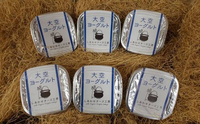 大空ヨーグルト 400g×6個《足寄町》【NPO法人あしょろ観光協会】ヨーグルト 乳製品 牛乳 乳酸菌 免疫力 美味しい 高評価 おすすめ ギフト 足寄町産 北海道産 道産 あしょろ 北海道 [BEAE005]