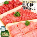 【ふるさと納税】球磨産 黒毛和牛 切り落とし 200g×3パック 合計600g 熊本県産 和牛 くまもと球磨産 お肉 牛肉 切落し 小分け パック 冷凍 熊本県 水上村 送料無料