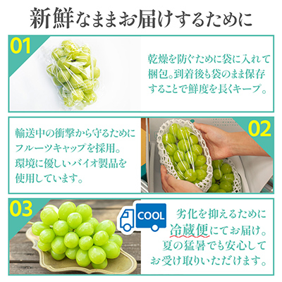 【2025年発送】シャインマスカット 2房 (約1kg) 山梨県産フルーツ 人気のぶどう【配送不可地域：離島・沖縄県】