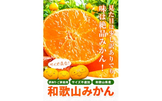 訳あり みかん (3S～3L) 約1.5kg《10月上旬‐12月下旬頃に発送(土日祝を除く)》和歌山県 日高町 果物 フルーツ 訳あり みかん 家庭用 お試し 大容量 送料無料