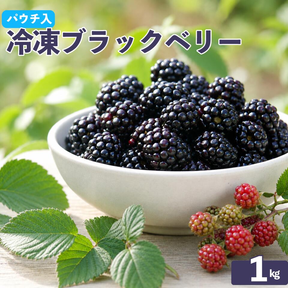 【ふるさと納税】＜冷凍ブラックベリー約1kg＞ ふるーつ fruit ヒロの果樹園からMIYAMOTO FARMが受け継ぎました 【冷凍】 冷凍フルーツ フローズン 秀品 高知県 佐川町 （栽培期間中 化学農薬化学肥料不使用）